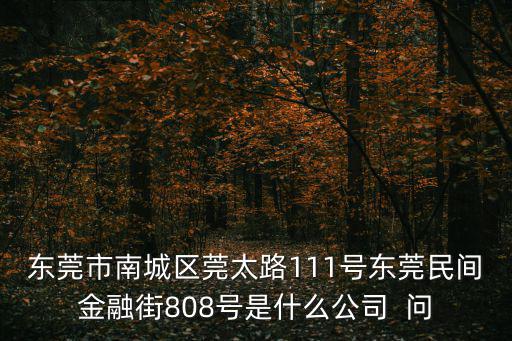 東莞市南城區(qū)莞太路111號東莞民間金融街808號是什么公司  問