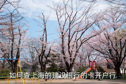 如何查上海的建設銀行的卡開戶行