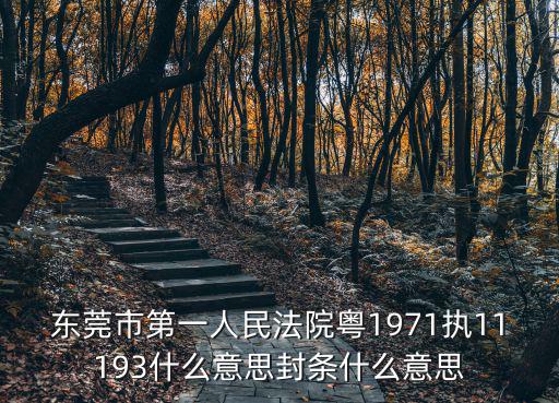 東莞市第一人民法院粵1971執(zhí)11193什么意思封條什么意思