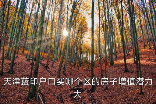 天津藍(lán)印戶口買哪個(gè)區(qū)的房子增值潛力大