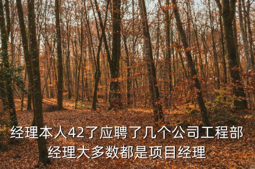 經理本人42了應聘了幾個公司工程部經理大多數都是項目經理