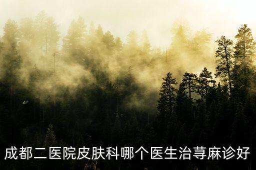 成都二醫(yī)院皮膚科哪個醫(yī)生治蕁麻診好