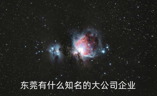 東莞有什么知名的大公司企業