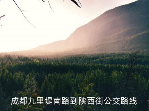 成都九里堤南路到陜西街公交路線
