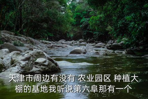 天津市周邊有沒有 農(nóng)業(yè)園區(qū) 種植大棚的基地我聽說(shuō)第六阜那有一個(gè)