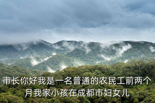 市長你好我是一名普通的農(nóng)民工前兩個月我家小孩在成都市婦女兒
