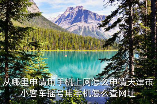 從哪里申請用手機上網怎么申請天津市小客車搖號用手機怎么查網址