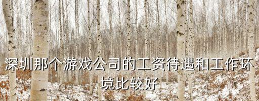 深圳那個(gè)游戲公司的工資待遇和工作環(huán)境比較好