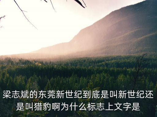 梁志斌的東莞新世紀到底是叫新世紀還是叫獵豹啊為什么標志上文字是