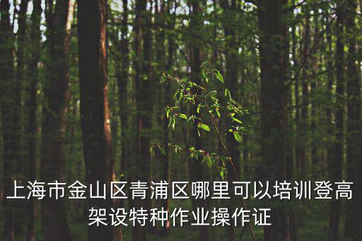 上海市金山區(qū)青浦區(qū)哪里可以培訓(xùn)登高架設(shè)特種作業(yè)操作證