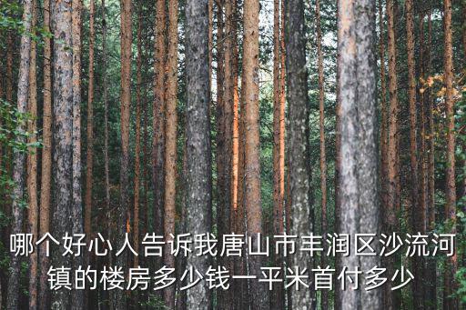 哪個(gè)好心人告訴我唐山市豐潤區(qū)沙流河鎮(zhèn)的樓房多少錢一平米首付多少