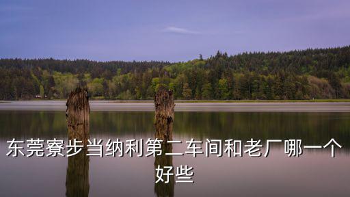 東莞寮步當納利第二車間和老廠哪一個好些