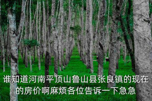 誰知道河南平頂山魯山縣張良鎮的現在的房價啊麻煩各位告訴一下急急