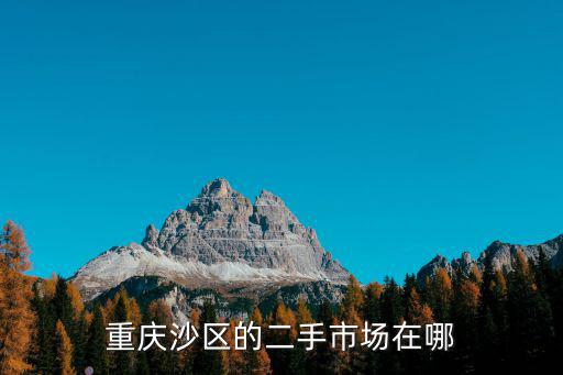 重慶沙區(qū)的二手市場在哪