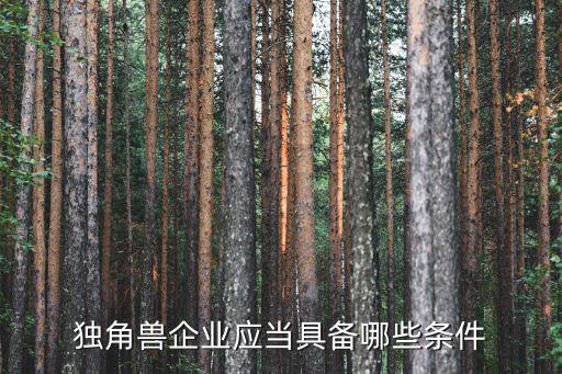 獨(dú)角獸企業(yè)應(yīng)當(dāng)具備哪些條件