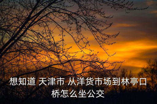 想知道 天津市 從洋貨市場(chǎng)到林亭口橋怎么坐公交