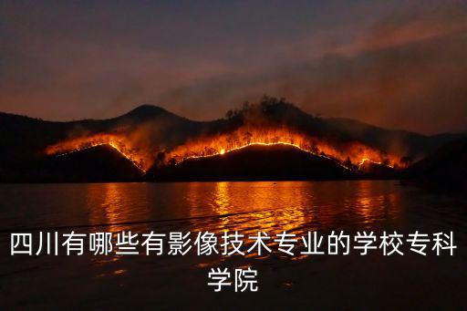 四川有哪些有影像技術專業的學校專科學院