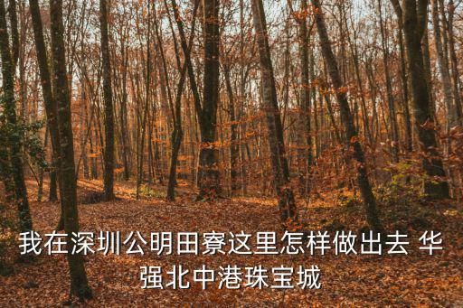 深圳市中港珠寶城，我在深圳公明田寮這里怎樣做出去 華強北中港珠寶城