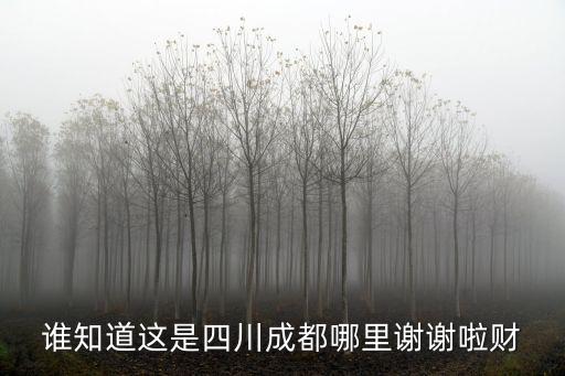 誰知道這是四川成都哪里謝謝啦財