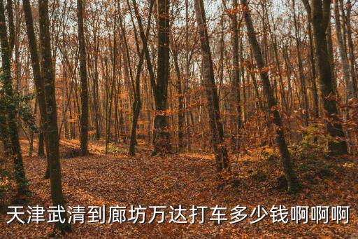 天津市到廊坊市打滴滴多少錢，天津楊柳青打的到廊坊要多少錢啊