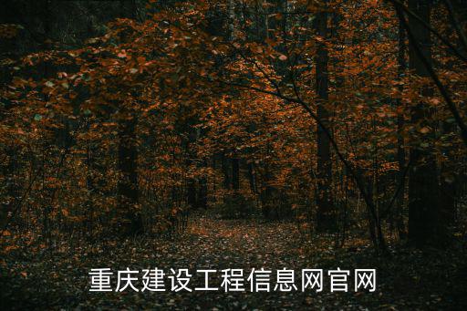 重慶建設工程信息網官網