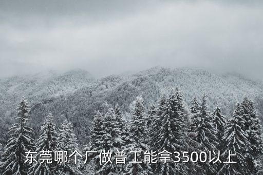 東莞哪個廠做普工能拿3500以上