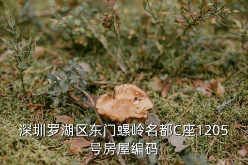 深圳羅湖區(qū)東門螺嶺名都C座1205號(hào)房屋編碼
