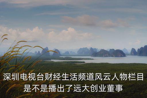 深圳電視臺財經(jīng)生活頻道風(fēng)云人物欄目是不是播出了遠(yuǎn)大創(chuàng)業(yè)董事