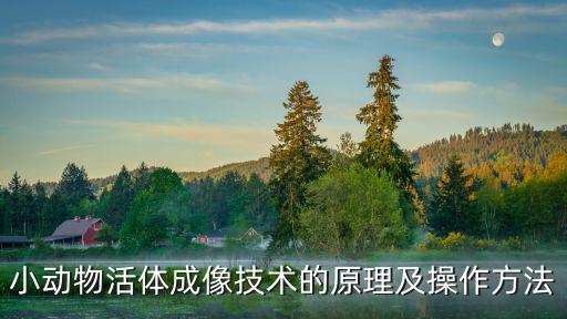 天津市小動(dòng)物活體成像，小動(dòng)物活體成像儀價(jià)格是多少