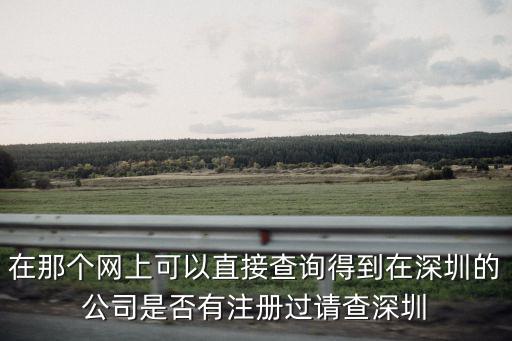在那個網上可以直接查詢得到在深圳的公司是否有注冊過請查深圳