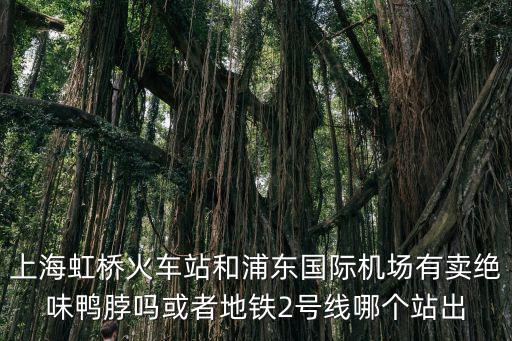 上海虹橋火車站和浦東國際機場有賣絕味鴨脖嗎或者地鐵2號線哪個站出