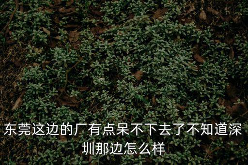東莞這邊的廠有點呆不下去了不知道深圳那邊怎么樣