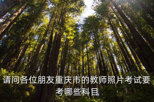 請問各位朋友重慶市的教師照片考試要考哪些科目