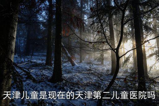 天津市第二醫(yī)院兒童精神科，弟弟要去天津兒童醫(yī)院看病但是聽說兒童醫(yī)院搬到北辰了叫第二兒童醫(yī)院