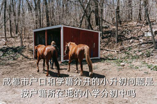 成都市小搖號(hào)按學(xué)籍還是戶(hù)籍，成都買(mǎi)房搖號(hào)要戶(hù)口嗎