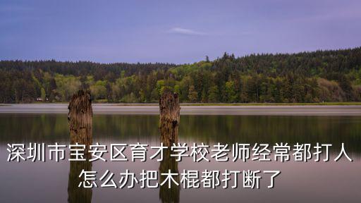 深圳市寶安區(qū)育才學(xué)校老師經(jīng)常都打人怎么辦把木棍都打斷了