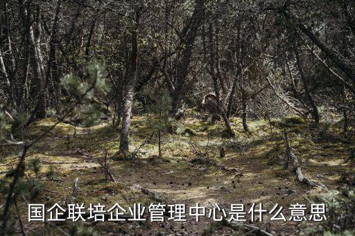 成都市聯(lián)培教育輔助服務(wù)中心，成都菊樂路9號那里有個什么成都教研職培中心嗎菊樂路9號好像范