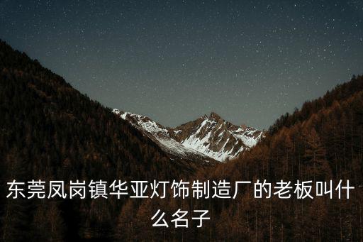 東莞燈飾燈盤制造廠，有誰(shuí)知道東莞鳳崗鎮(zhèn)華亞燈飾制造廠的老板叫什么名子