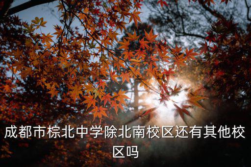 成都市棕北中學除北南校區(qū)還有其他校區(qū)嗎