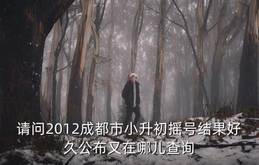 請問2012成都市小升初搖號結果好久公布又在哪兒查詢