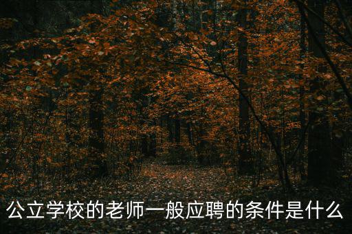公立學(xué)校的老師一般應(yīng)聘的條件是什么