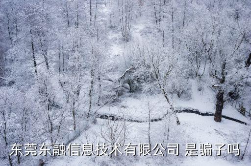 東莞東融信息技術有限公司 是騙子嗎