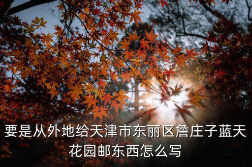 要是從外地給天津市東麗區詹莊子藍天花園郵東西怎么寫