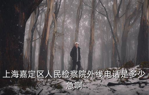上海嘉定區人民檢察院外線電話是多少急啊