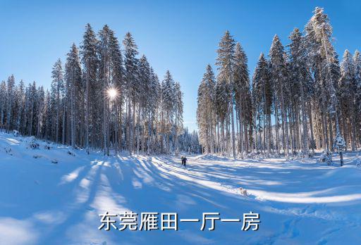 東莞雁田一廳一房
