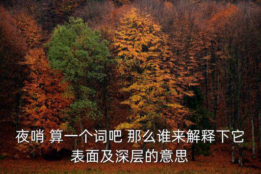 夜哨 算一個詞吧 那么誰來解釋下它表面及深層的意思