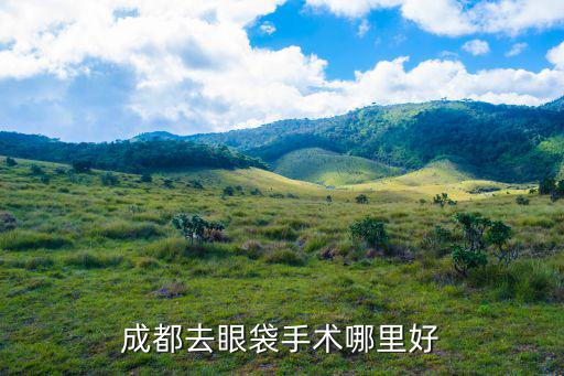 成都去眼袋手術哪里好
