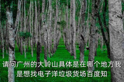 請問廣州的大嶺山具體是在哪個地方我是想找電子洋垃圾貨場百度知
