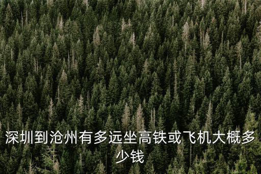 深圳到滄州有多遠(yuǎn)坐高鐵或飛機(jī)大概多少錢