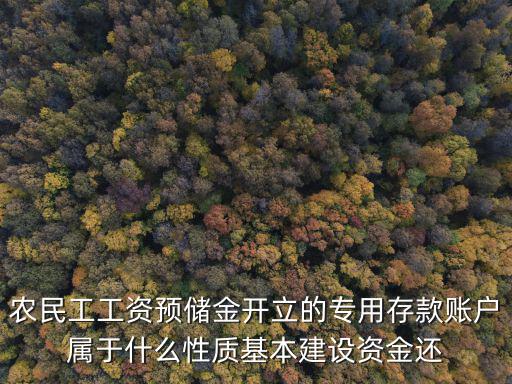 農(nóng)民工工資預(yù)儲(chǔ)金開(kāi)立的專用存款賬戶屬于什么性質(zhì)基本建設(shè)資金還